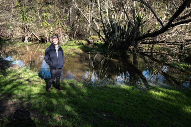 “黄金奶源地”新西兰遭遇环境危机 以后奶粉去哪儿买?