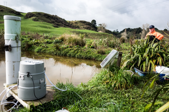 “黄金奶源地”新西兰遭遇环境危机 以后奶粉去哪儿买?