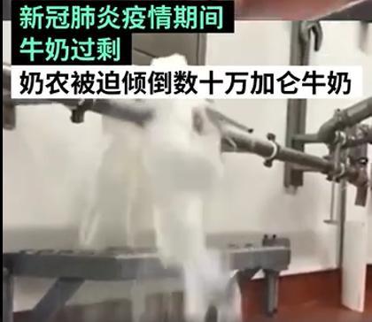 全美每天要倒掉至少1000万升牛奶 90斤牛奶收购价不到1美元