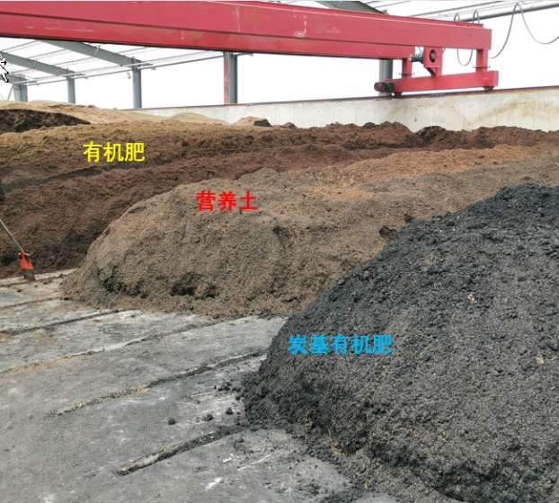 图片默认标题_fororder_2