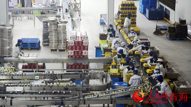 青藏牧场乳业生产加工车间。人民网 杨泽秋摄