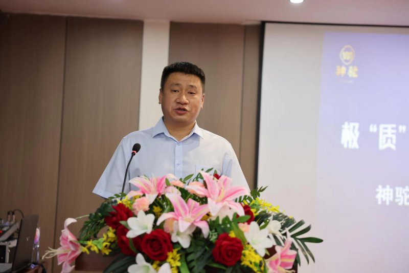 1690458569697545.jpg 3.jpg